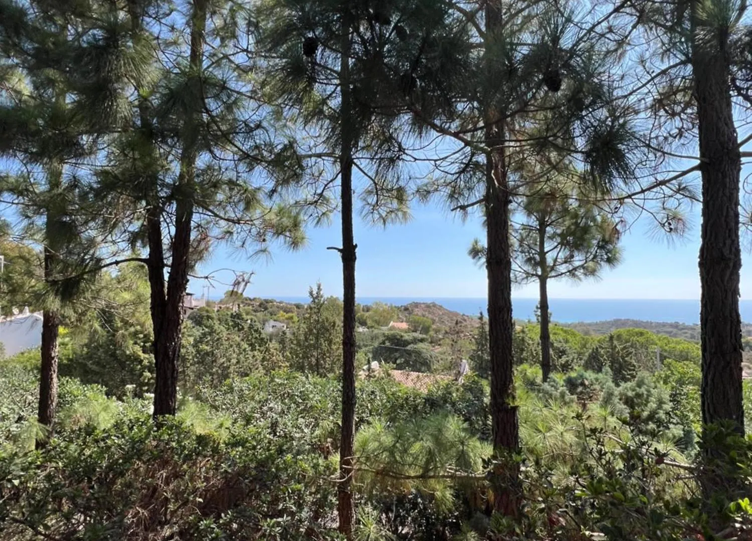 Hébergement de vacances Villa Nives Domus De Maria